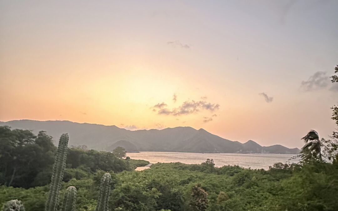 El Poder Sanador de la Naturaleza: Reconectando a través del Earthing 