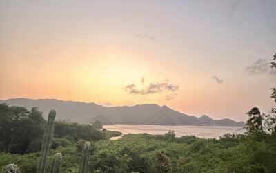 El Poder Sanador de la Naturaleza: Reconectando a través del Earthing 