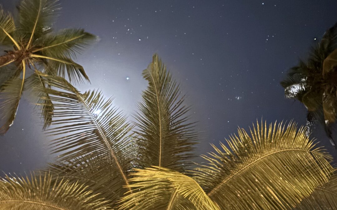 TEMPORADA DE ECLIPSES 2025