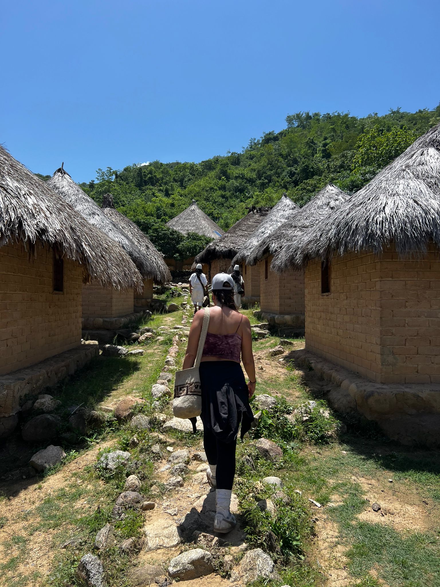 La hoja de Coca como símbolo de Conexión Sagrada con la Madre Tierra